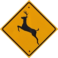 Deer Crossing 1