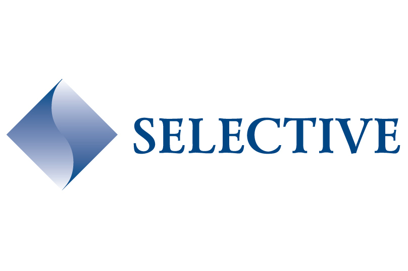 Image result for selective insurance logo