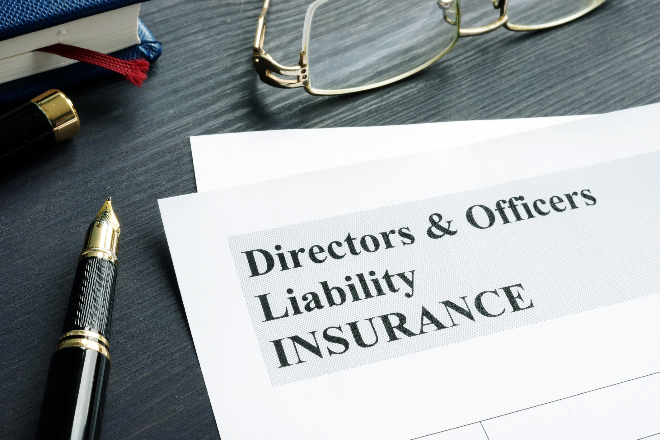 Common Sources of D&amp;O Claims Video Horst Insurance