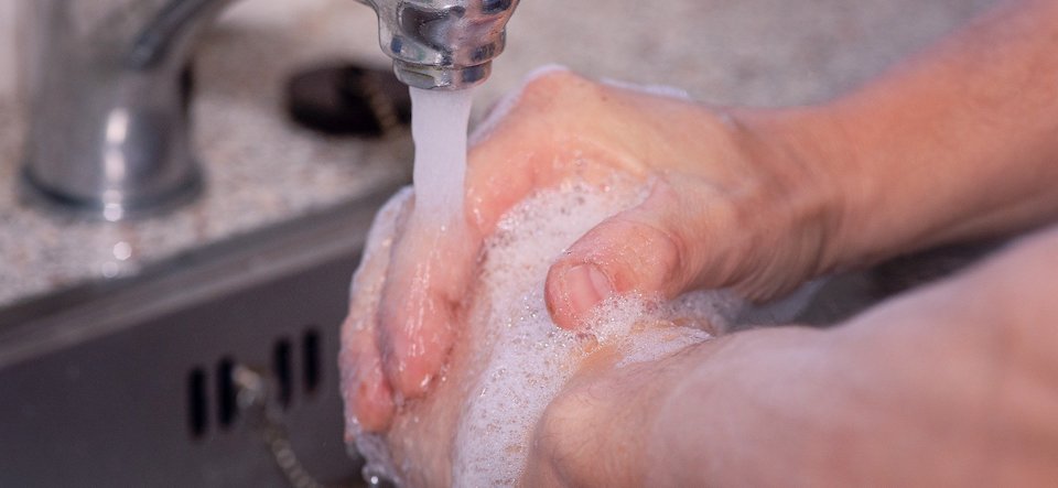 Hands washing with sudsy soap in a sink