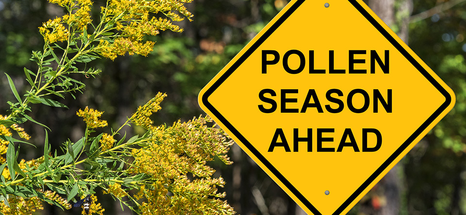 Caution Sign - Pollen Season Ahead