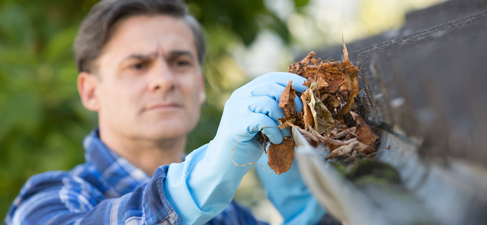 Man Clearing Leaves From Guttering Of House