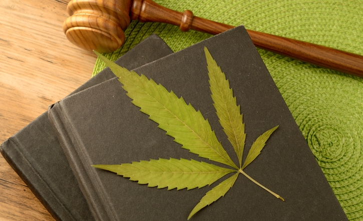 A conceptual image focused on the legal information of Marijuana using books and a gavel and weed leaf to illustrate this idea.
