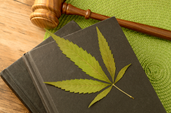 A conceptual image focused on the legal information of Marijuana using books and a gavel and weed leaf to illustrate this idea.