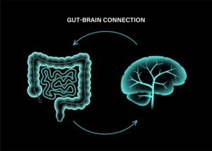 Gut brain connection and microbiome. Enteric nervous system in human body, small and large intestine. Signals from brain to digestive tract. Colon, bowel and cerebrum 3d realistic vector illustration.