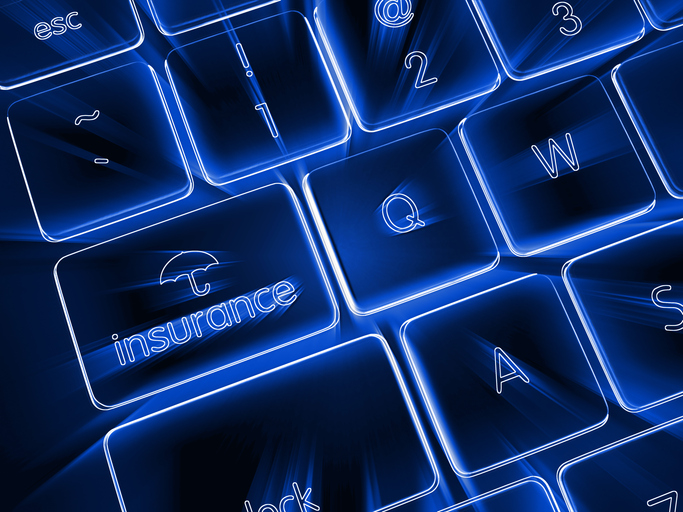 Internet online insurance risk protection